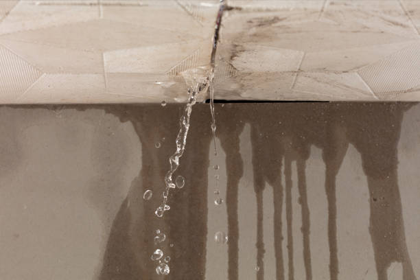 Professional Structural Drying technician working in Leamington, UT